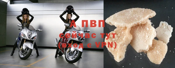 твердый Новозыбков