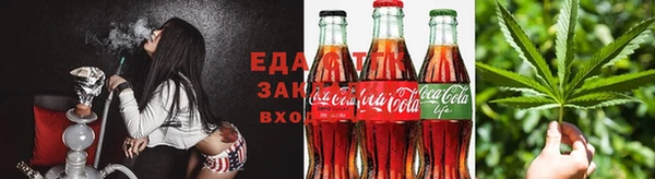 твердый Новозыбков