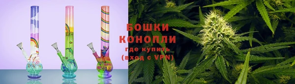 spice Новодвинск