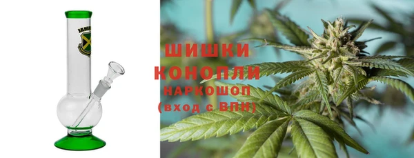 твердый Новозыбков