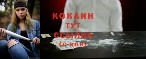 spice Новодвинск
