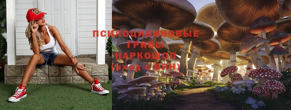 твердый Новозыбков