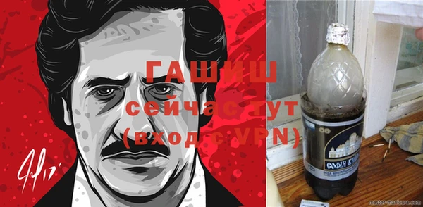 твердый Новозыбков