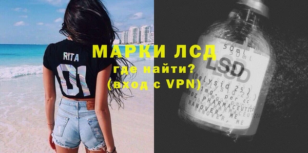spice Новодвинск