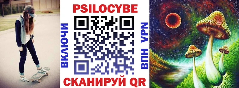 цена Рыбное Псилоцибиновые грибы MAGIC MUSHROOMS